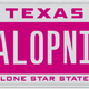 Illustration for article titled The Ten Worst State License Plates